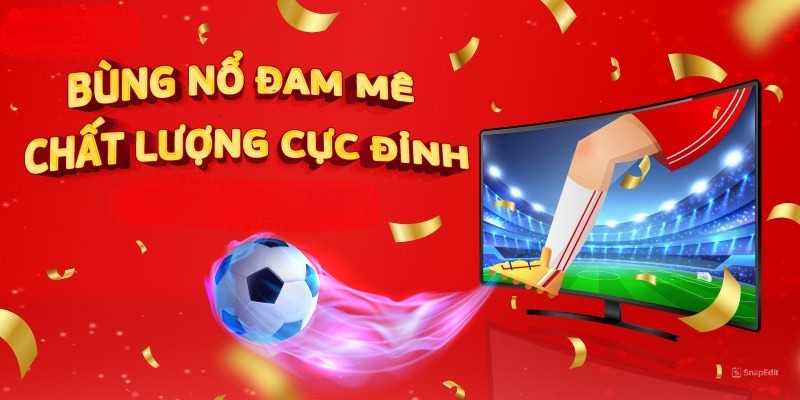 Giới thiệu đôi nét về website trực tiếp bóng đá Gavang TV